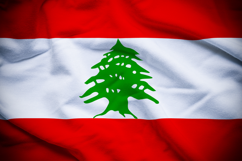drapeau national 90x150 CM arbre vert LB LBN drapeau de la république du  liban pour la décoration : : Jardin