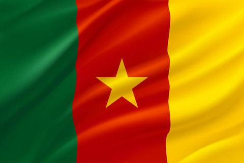 Drapeau du Cameroun